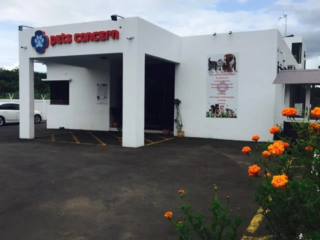 Read more about the article Top 10 Pet Clinics in Mauritius (2026–2027)