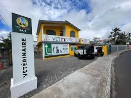 You are currently viewing Top 10 Veterinary Clinics in Mauritius (2026 – 2027)