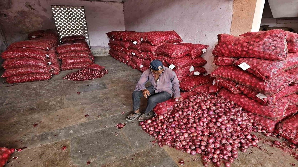 You are currently viewing Exporters Seek Wider Access to Mauritius Onion Market to Benefit Farmers