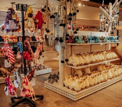 You are currently viewing Top 5 Best Toy Shops in Mauritius