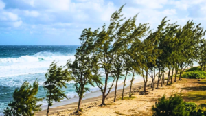 Read more about the article Mauritius Faces 60km/h Wind Gusts as Cold Anticyclone Moves In