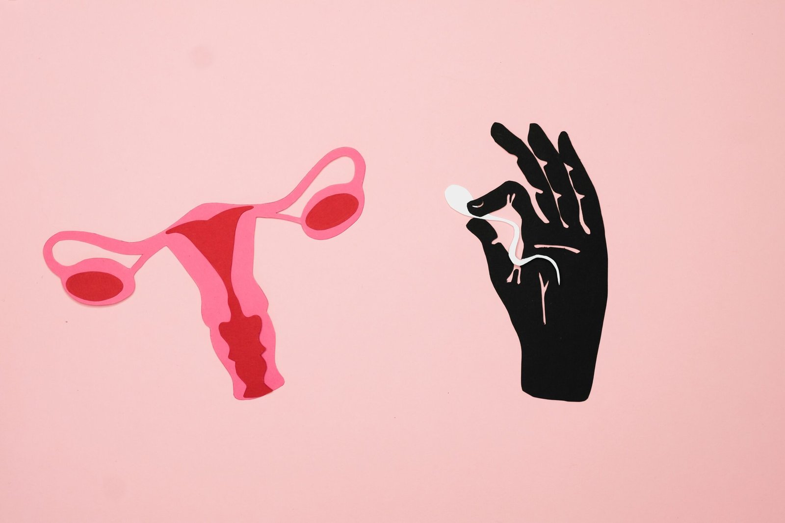 You are currently viewing Top Fertility Clinics in Mauritius
