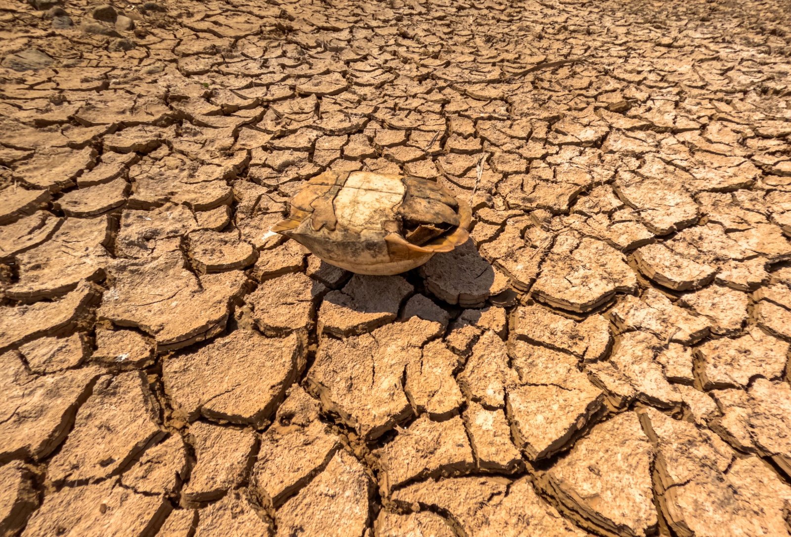 Read more about the article Mare-Aux-Vacoas Reservoir Falls to 40% Capacity Amid Severe Drought in Mauritius