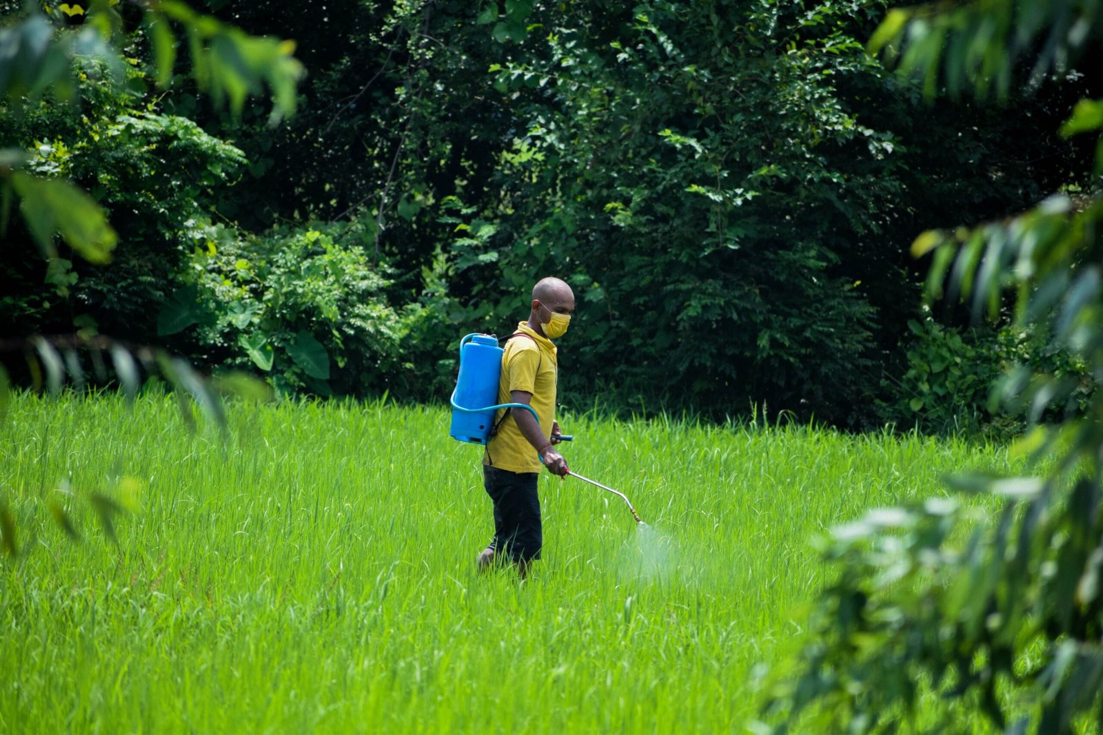 Read more about the article Four New Pesticide Regulations Introduced to Tighten Rules in Mauritius